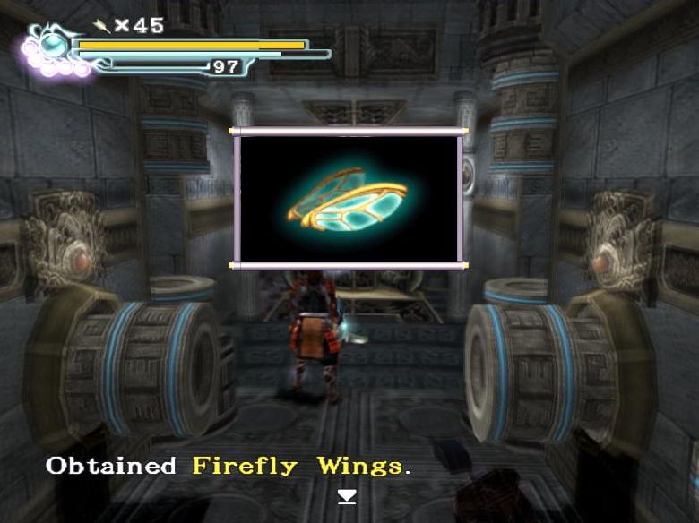 31firefly wings.JPG