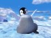 happy feet 5.jpg