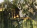 paradise9.jpg